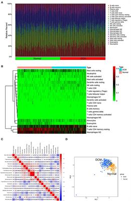 Integrated Bioinformatics Algorithms and Experimental Validation to Explore Robust Biomarkers and Landscape of Immune Cell Infiltration in Dilated Cardiomyopathy